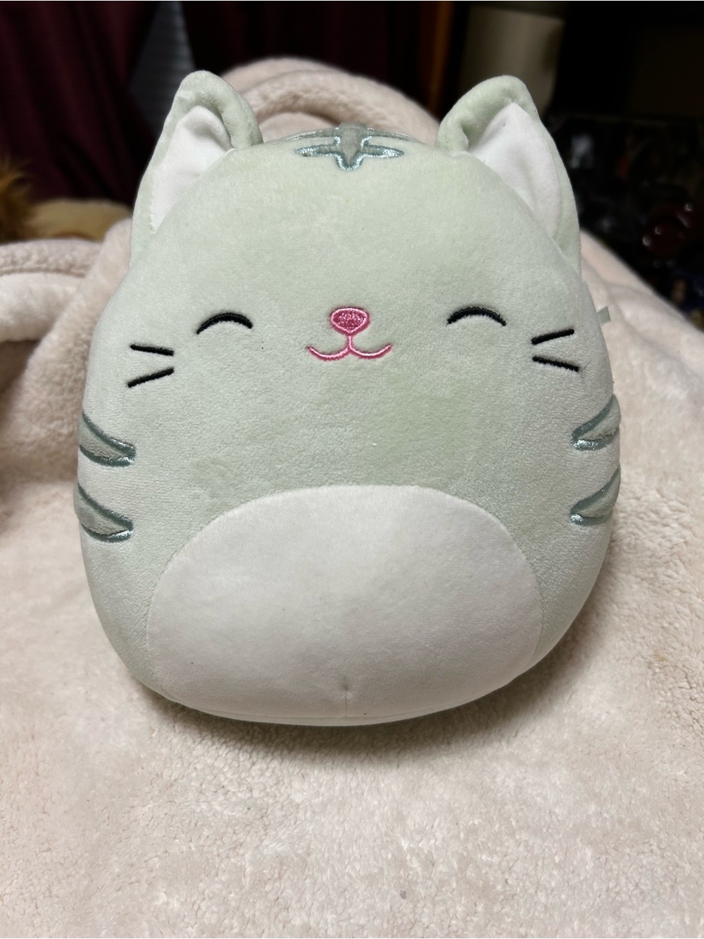 Squishmellows Chase the Cat